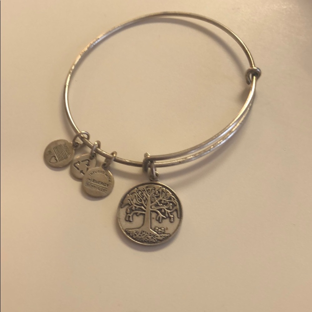 Alex and  ani tree of life bracelet